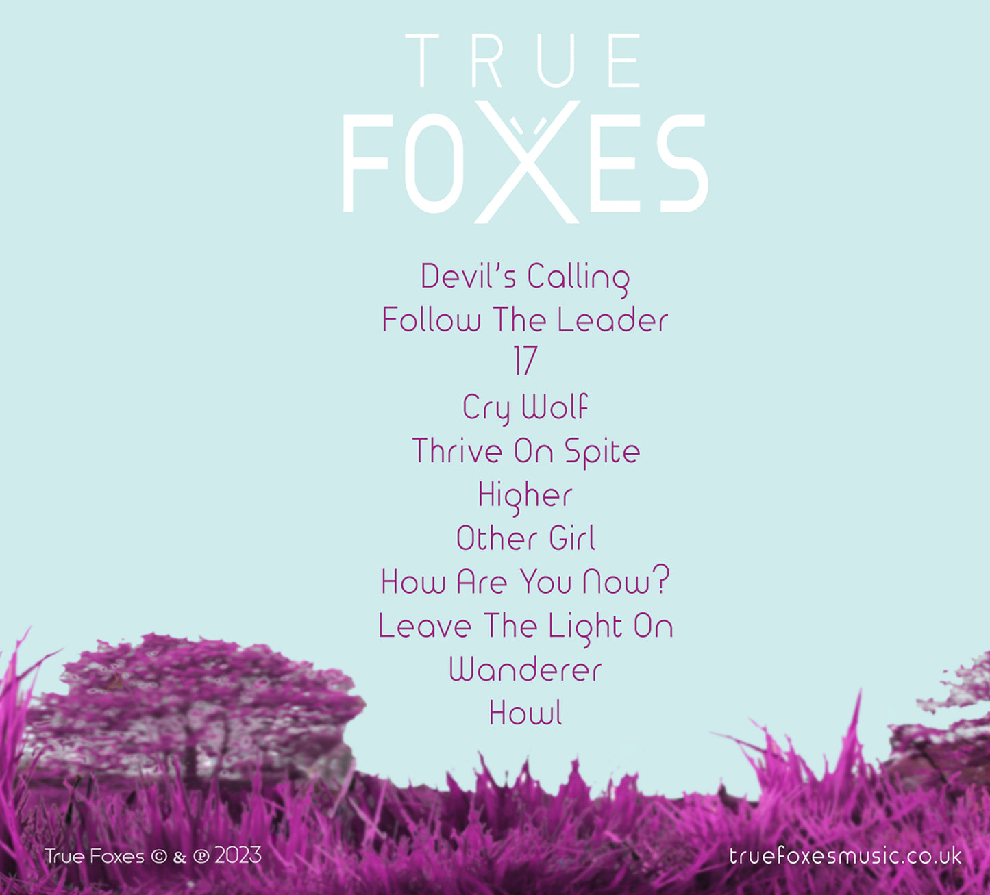 Pre-order True Foxes - Howl CD